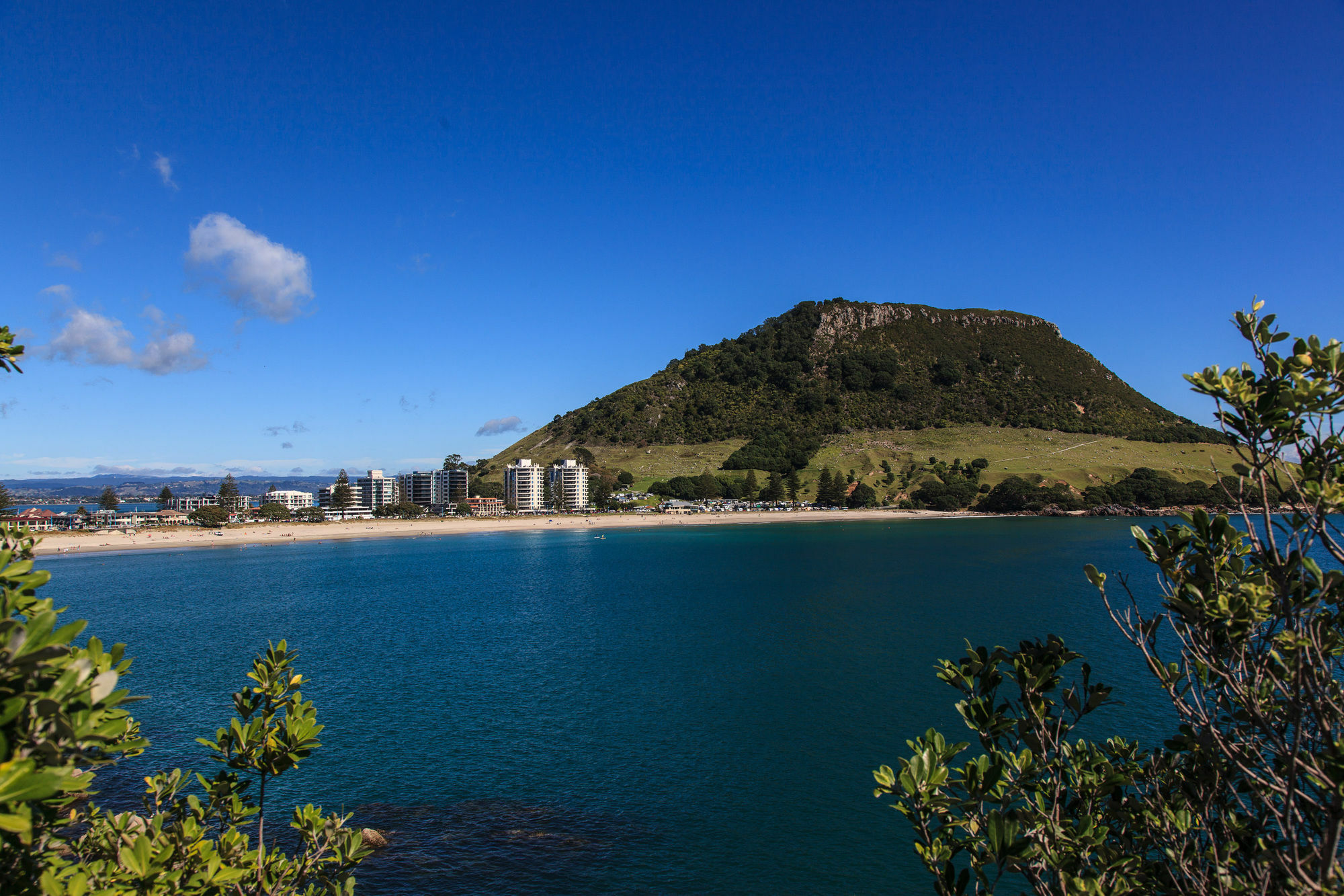 Seascape Villa B&B Tauranga Dış mekan fotoğraf